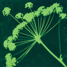 Load image into Gallery viewer, Rainbow Cyanotype Kit