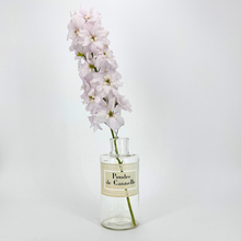 Load image into Gallery viewer, Poudre de Cannelle Glass Apothecary Bottle