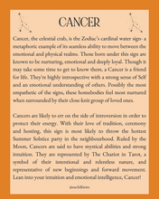 Load image into Gallery viewer, Cancer Bouquet