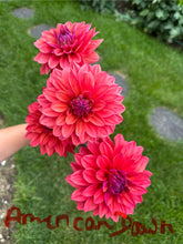 Load image into Gallery viewer, American Dawn / Cheers