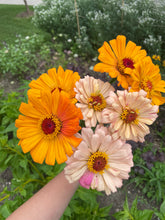 Load image into Gallery viewer, Zinnia Seeds - Pollinator Mix