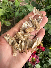 Load image into Gallery viewer, Dahlia Seeds - Mixed Varieties