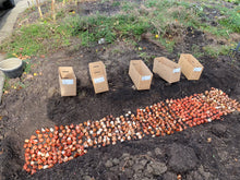 Load image into Gallery viewer, Grown Your Own Cutting Garden Workshop