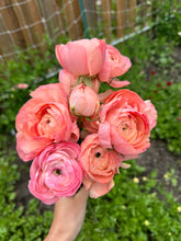 Load image into Gallery viewer, Grown Your Own Cutting Garden Workshop