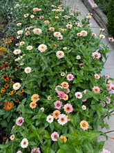 Load image into Gallery viewer, Grown Your Own Cutting Garden Workshop