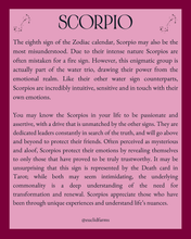 Load image into Gallery viewer, Scorpio Bouquet