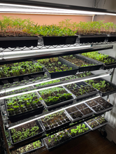 Load image into Gallery viewer, Grown Your Own Cutting Garden Workshop