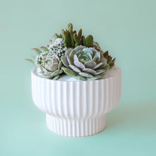 Load image into Gallery viewer, Presley Pedestal Pot - White