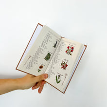 Load image into Gallery viewer, The Language & Sentiment of Flowers