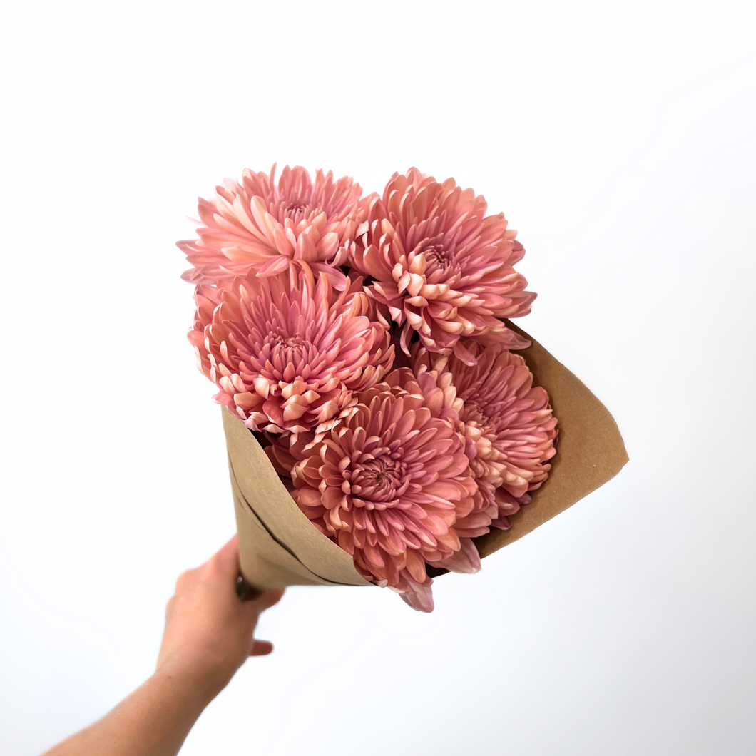 Chrysanthemum Bunch