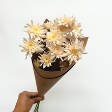Load image into Gallery viewer, Spray Chrysanthemum Bunch

