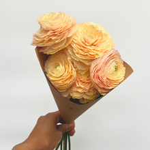 Load image into Gallery viewer, Ranunculus Bunch
