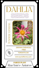 Load image into Gallery viewer, Dahlia Seeds - RaeAnn&#39;s Antares
