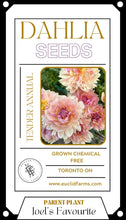 Load image into Gallery viewer, Dahlia Seeds - Joel&#39;s Favourite
