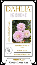 Load image into Gallery viewer, Dahlia Seeds - Coseytown Kay
