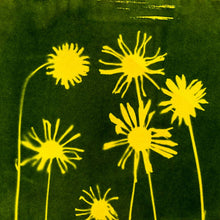 Load image into Gallery viewer, Rainbow Cyanotype Kit
