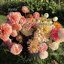 Load image into Gallery viewer, Tahoma Kelli
