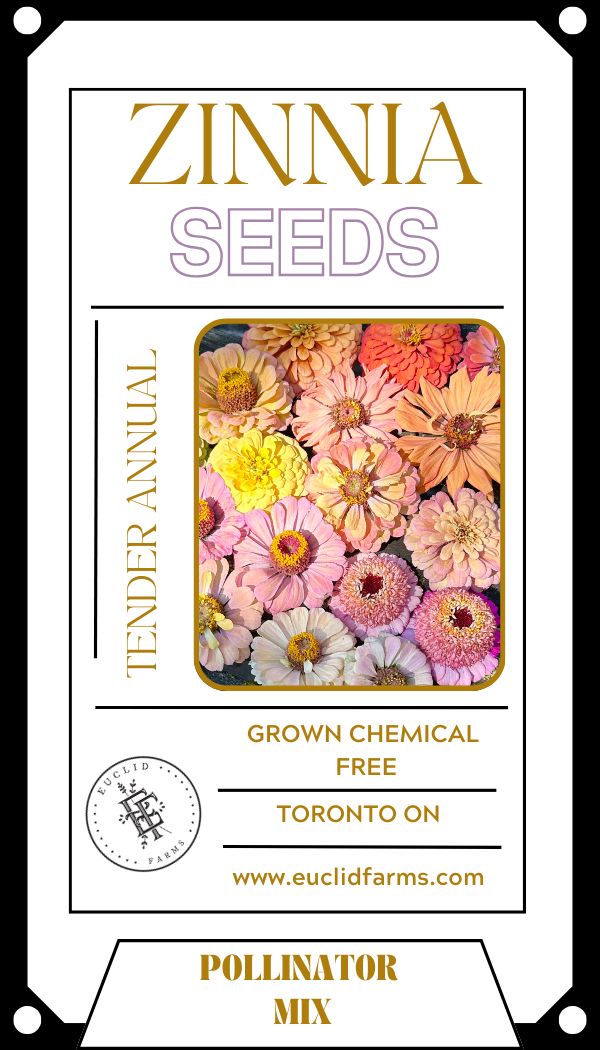 Zinnia Seeds - Pollinator Mix