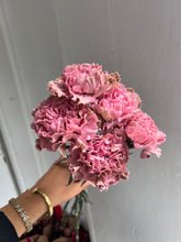 Load image into Gallery viewer, Carnation Bunch
