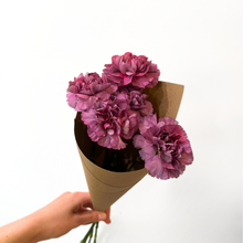 Load image into Gallery viewer, Carnation Bunch
