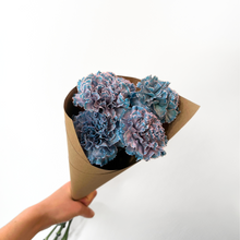 Load image into Gallery viewer, Carnation Bunch
