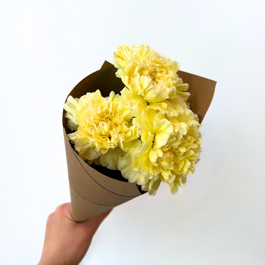 Carnation Bunch