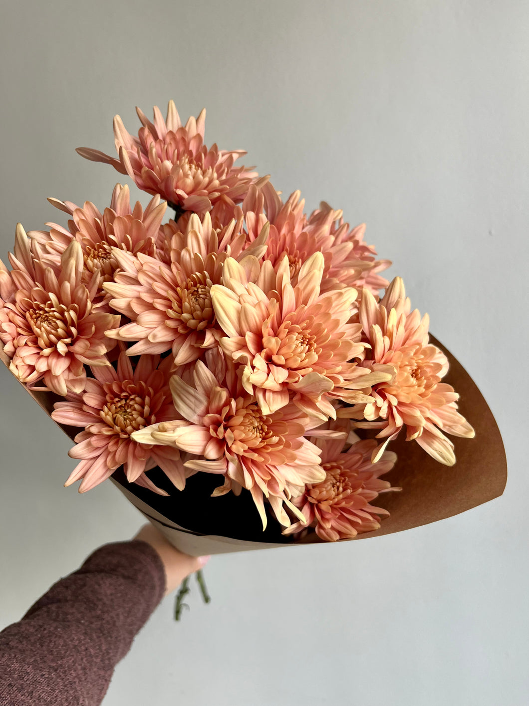 Spray Chrysanthemum Bunch