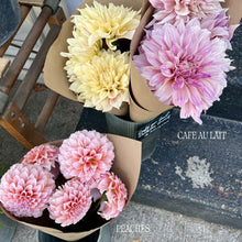 Load image into Gallery viewer, Peaches
