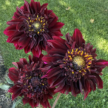 Load image into Gallery viewer, Soulman
