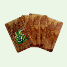 Load image into Gallery viewer, Enchanted Flowers Tarot Deck &amp; Guide

