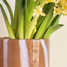 Load image into Gallery viewer, Amber Brown Striped Glass Pot
