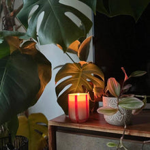 Load image into Gallery viewer, Atina Candle - Orange Blossom and Basil
