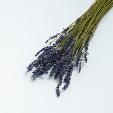 Load image into Gallery viewer, Dried Lavender Bunch
