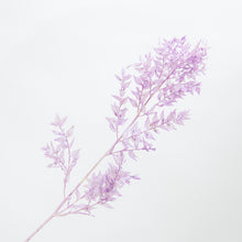 Load image into Gallery viewer, Ruscus Stem - Light Purple
