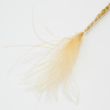 Load image into Gallery viewer, Stipa Grass Bundle - Natural
