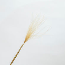 Load image into Gallery viewer, Stipa Grass Bundle - Natural
