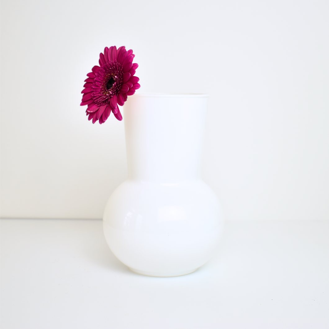Hydroponic Plant Glass Vase - White