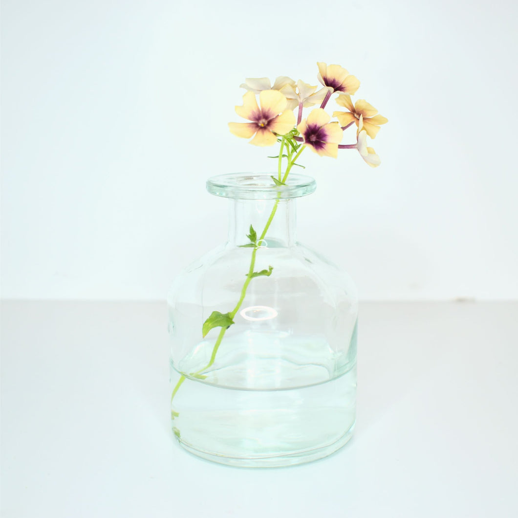 Glass Bud Vase - Clear (multiple sizes available)