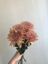 Load image into Gallery viewer, Chrysanthemum Bunch
