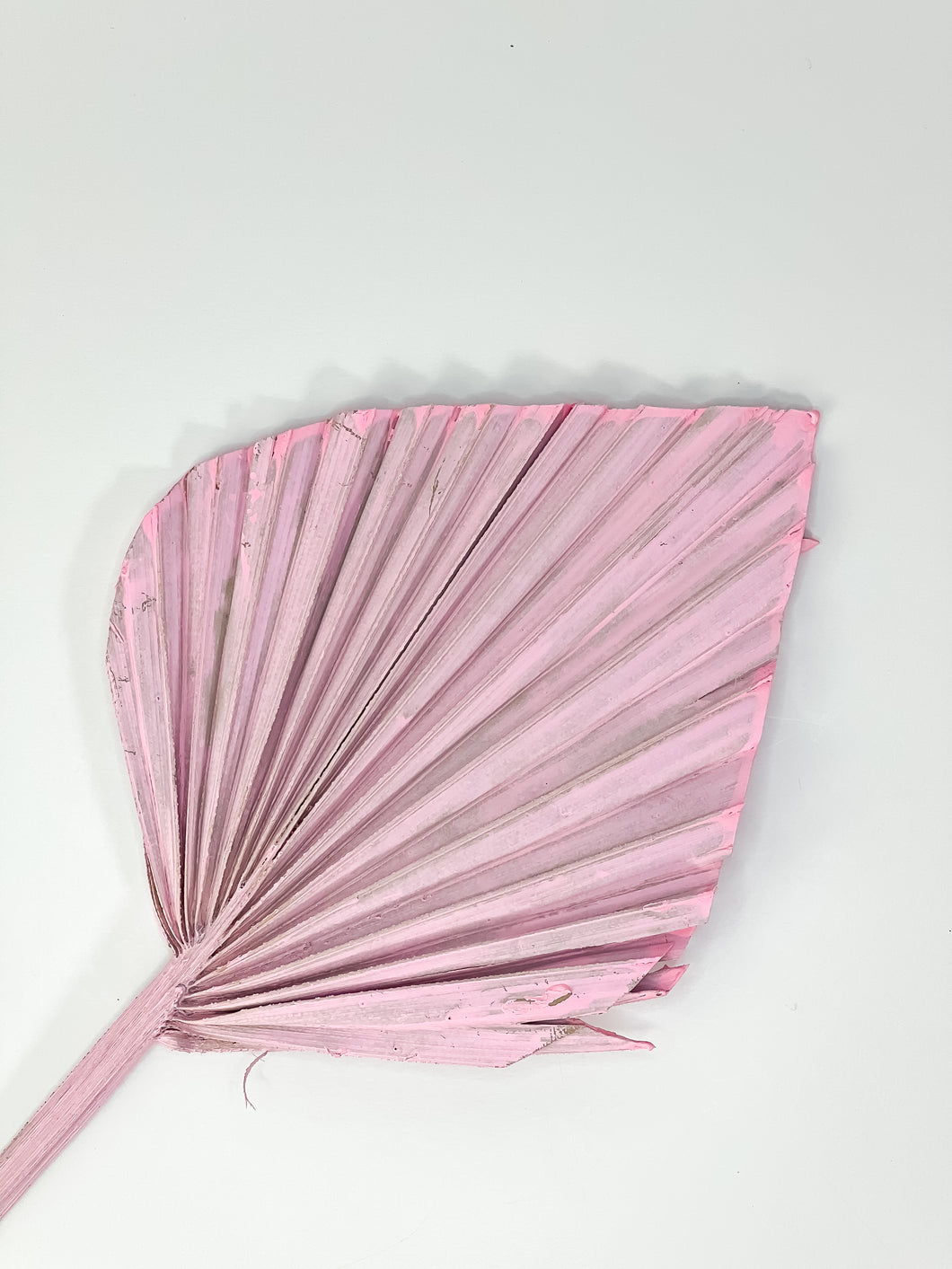 Dried Palm - Light Pink